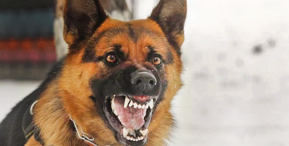 vanusa_cardoso_blog_como discordar_sem brigar_em_5 passos