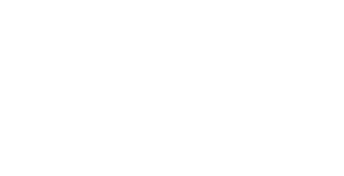 SET-BRANCO