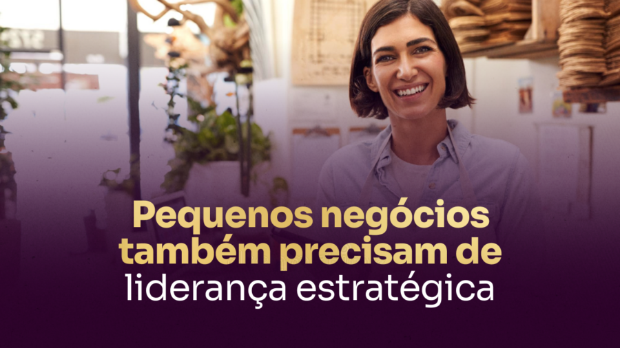 Capa blog_ Pequenos negócios também precisam de liderança estratégica – ou não vão sobreviver